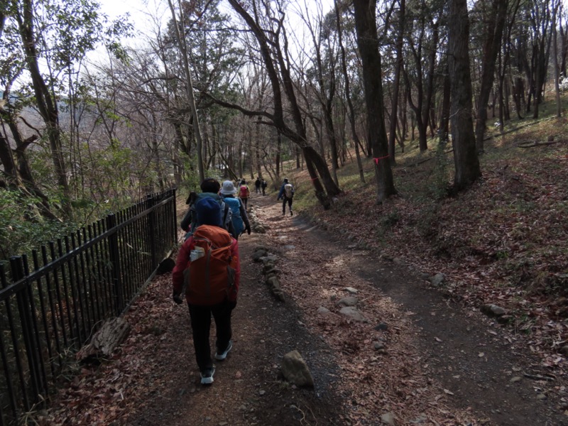 日和田山、物見山